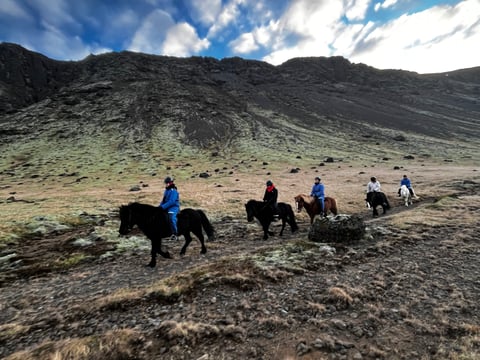 03A - Meadows and Mountains, photo 4