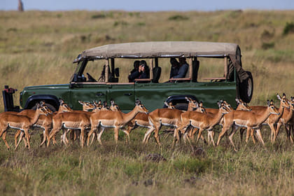 3-Day Masai Mara Wilderness Discovery Kenya Private Tour Safari