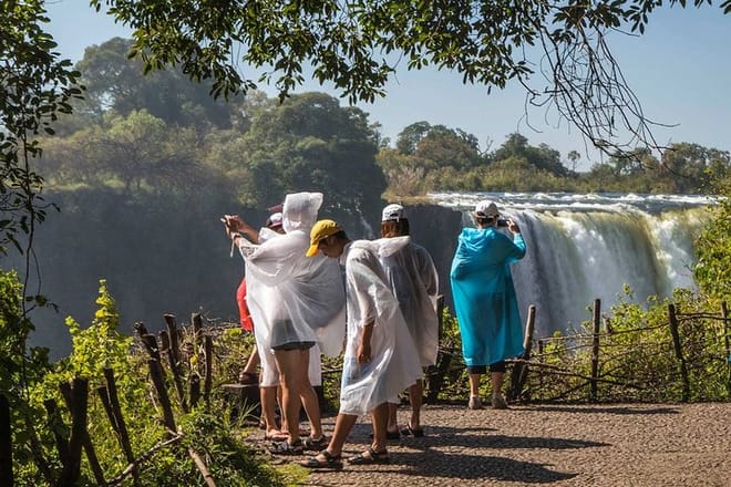 Victoria Falls Rain forest
