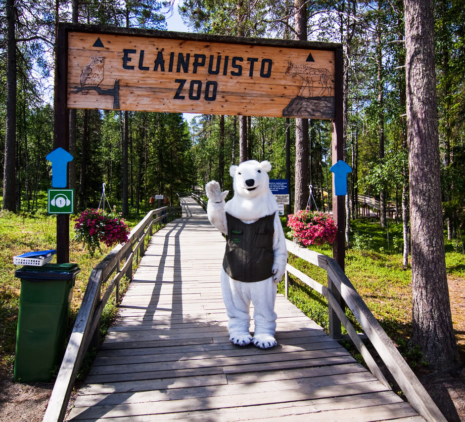 Visit to Ranua Arctic Wildlife Park - Rovaniemi 7