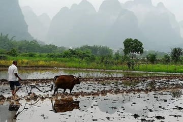 Li River Cruise and Bamboo Rafting Tour in Guilin