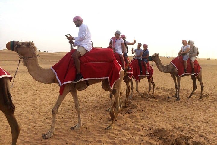 Dubai: Desert Camel Ride with Live Shows & BBQ Buffet Dinner 10