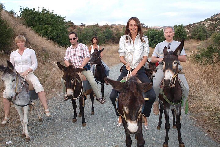 Alanya Donkey Safari: Village Life, Lunch & Scenic Taurus Mountains