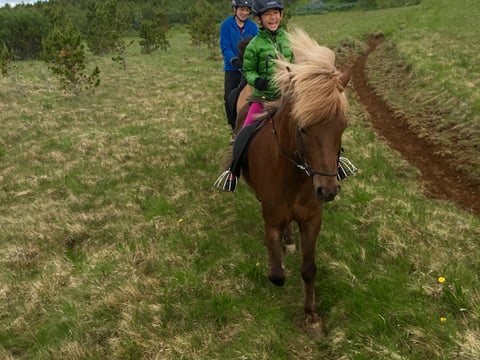 Viking Horses Mjölnir Afternoon Tour, photo 7