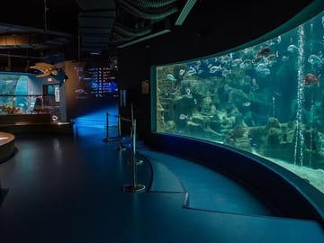 Cretaquarium Tour from Heraklion with Convenient Pickup
