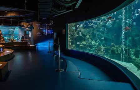 Cretaquarium Tour From Heraklion- pick up from Kokkini Hani to Malia