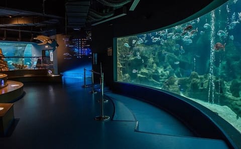 Cretaquarium Tour from Heraklion with Convenient Pickup