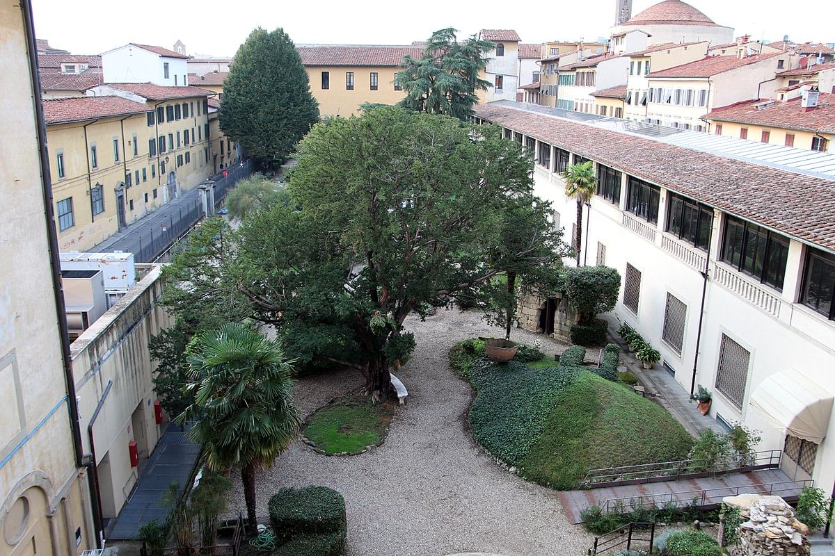 View of the museum courtyard dotted with trees