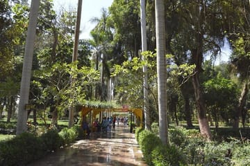 Private Tour of Abu Simbel Temples and Aswan Botanical Gardens
