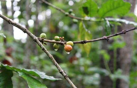 Private Full-Day Bali Tour to Tegenungan Waterfall and Temples