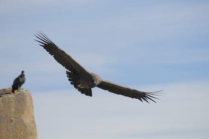 El Calafate Balcony in 4WD Experience