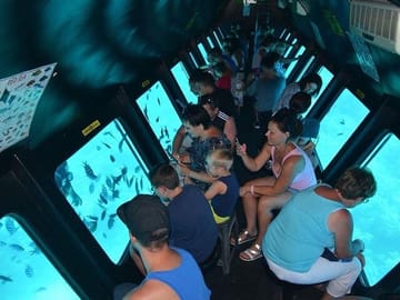 El Gouna Semi-Submarine Tour of Red Sea Marine Life