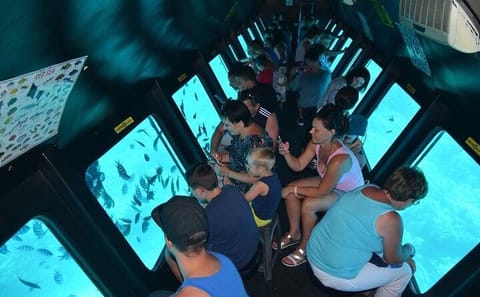El Gouna Semi-Submarine Tour of Red Sea Marine Life