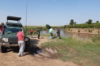 Private Game Drive in Maasai Mara 8