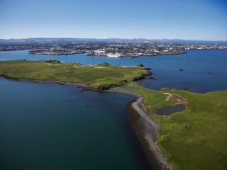 Reykjavík Whales & Viðey Island, photo 11