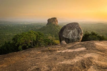 Sigiriya & Minneriya Safari Tour from Dambulla