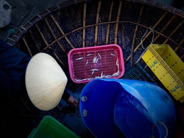 Cultural Morning Tour of Hoi An with Breakfast and Market Visit