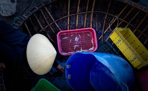 Cultural Morning Tour of Hoi An with Breakfast and Market Visit