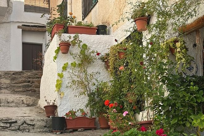 Granada: gita privata di un'intera giornata ad Alpujarras con escursioni