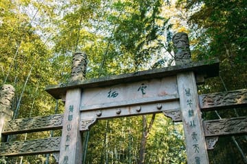Yunxi Bamboo Forest Hike and Meijiawu Tea Tasting Tour