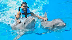 Dolphin Royal Swim in Punta Cana