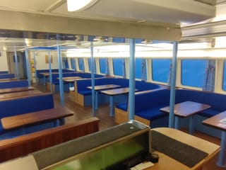 Whale & Marine Adventure Tour, photo 10