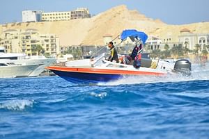 Swim With Dolphin By Semi PRIVATE Speedboat & Transfer - Hurghada
