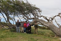 Crab Route through Tierra del Fuego from Ushuaia 5