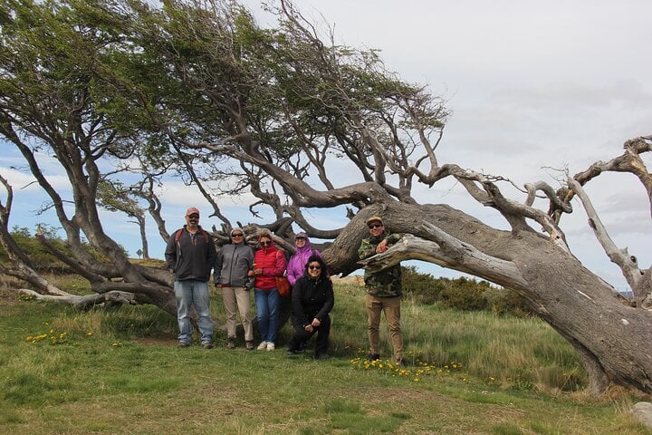 Crab Route through Tierra del Fuego from Ushuaia 5