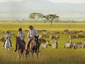 serengeti