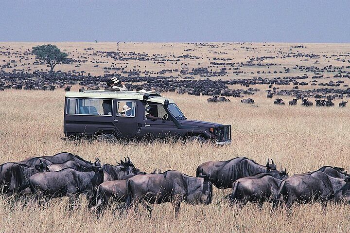 Wildlife Safari and Cultural Experience in Tanzania's Serengeti