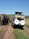 5-Day Tanzania Small Group Safari: Tarangire, Serengeti & Ngorongoro 1