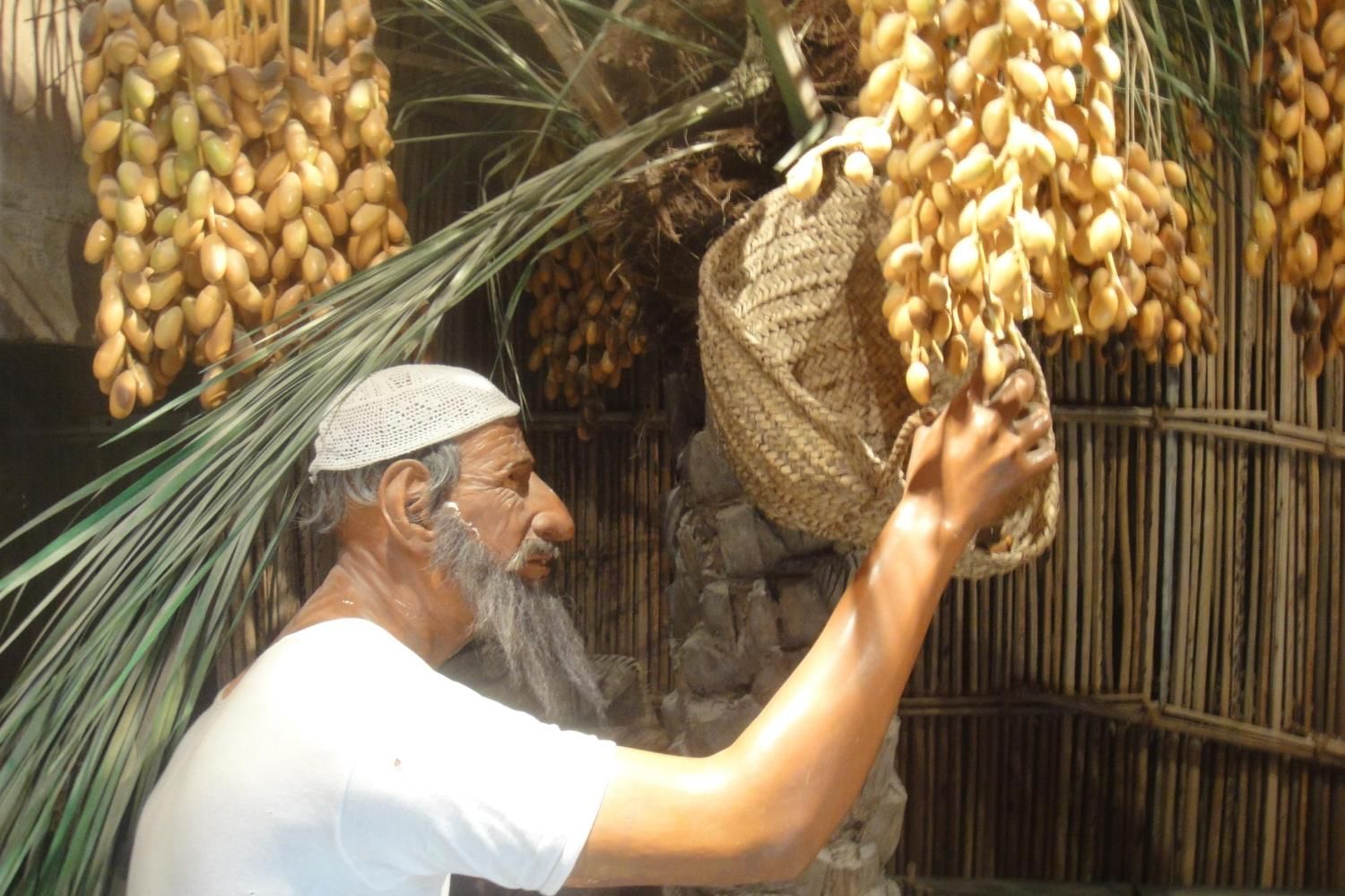 Combo Package: Dubai Tour and Dhow Cruise with Daytur