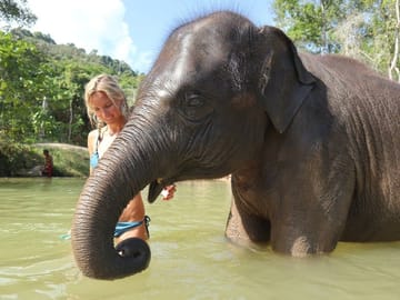 Half-Day Elephant Care Program at Phuket Wildlife Sanctuary