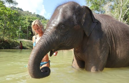 Half-Day Elephant Care Program at Phuket Wildlife Sanctuary