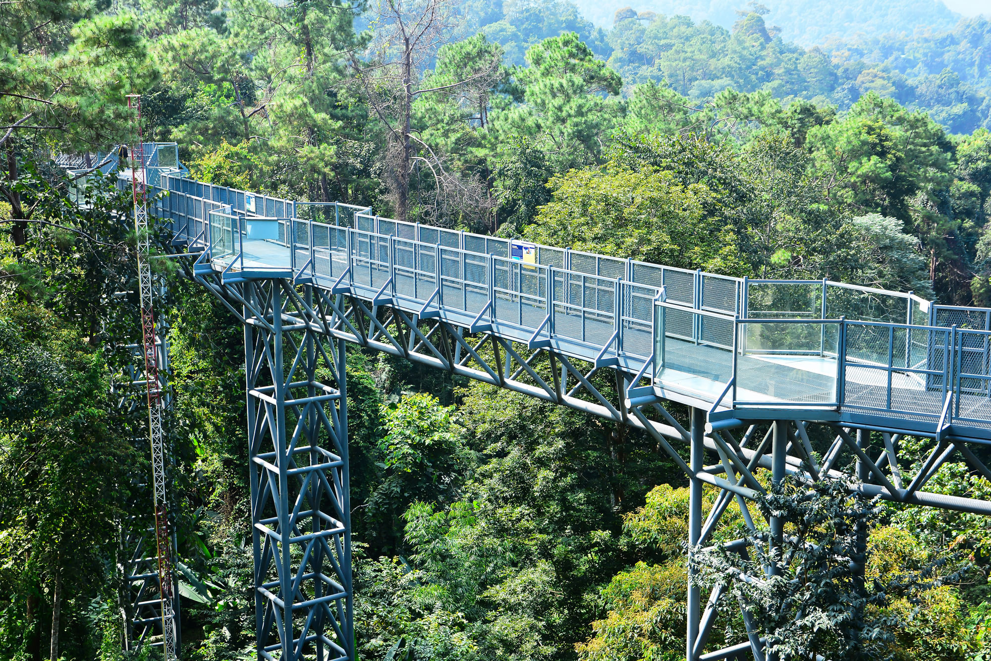 Chiang Mai Essentials
