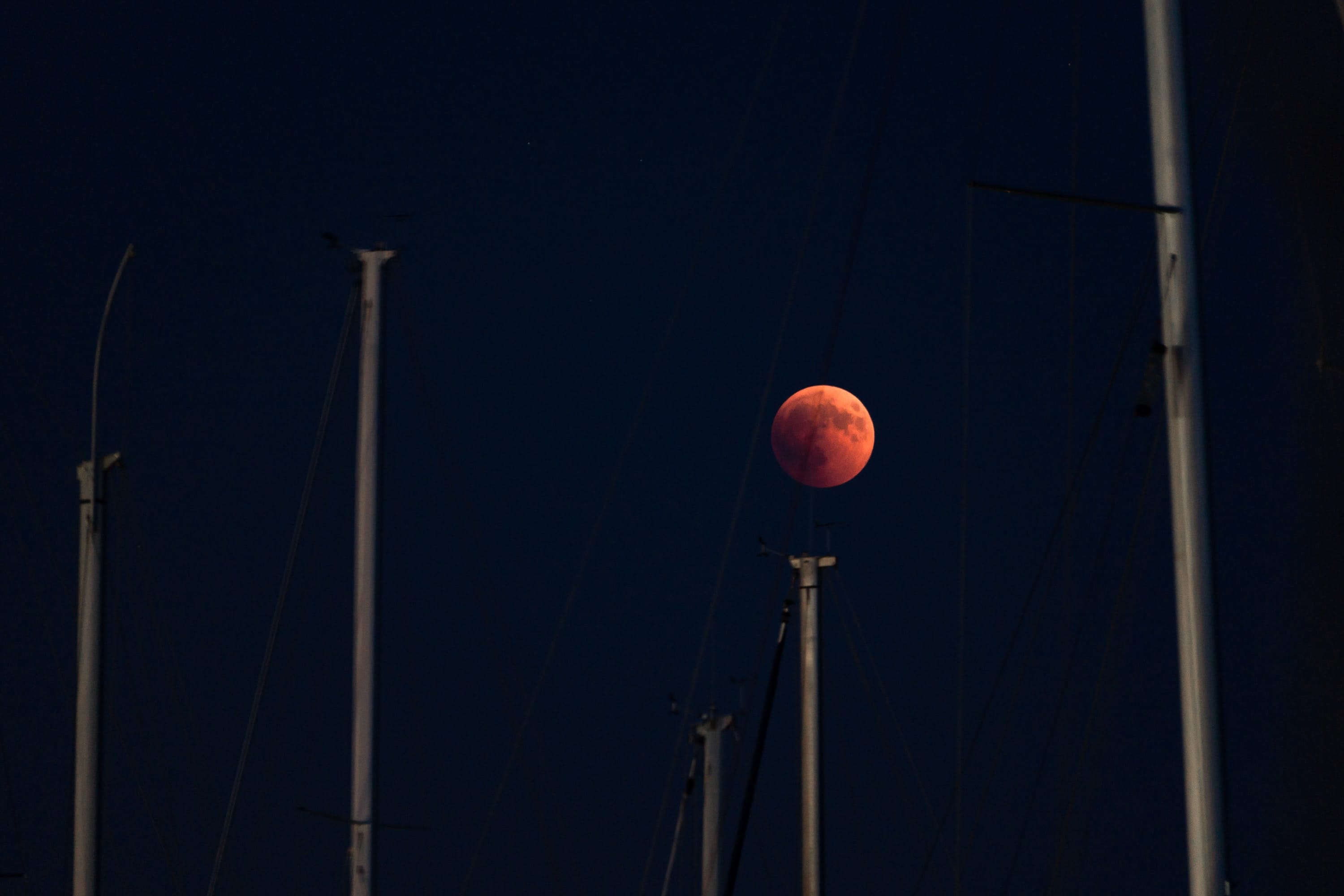 Full moon on the masts of sailboats moored in port, closed night.