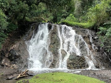 DAY TOUR TO ARUSHA NATIONAL PARK FROM ARUSHA