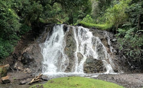 DAY TOUR TO ARUSHA NATIONAL PARK FROM ARUSHA