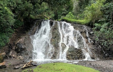 DAY TOUR TO ARUSHA NATIONAL PARK FROM ARUSHA