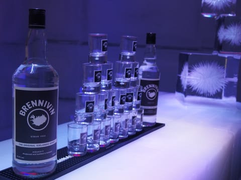 Magic Ice Reykjavik experience, photo 2