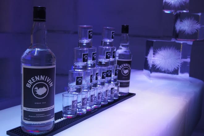 Magic Ice Reykjavik experience photo 2