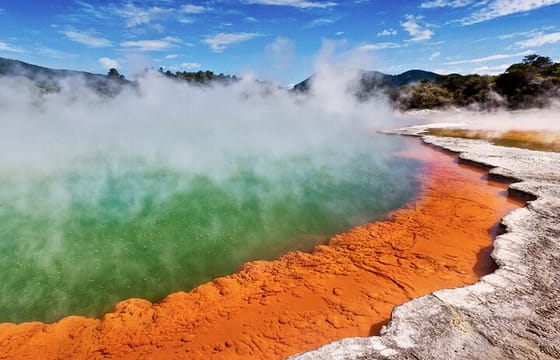 Auckland: ONE WAY TRIP to ROTORUA via Wai O Tapu, Redwood Forest and Rotorua Central Hotels Drop-off