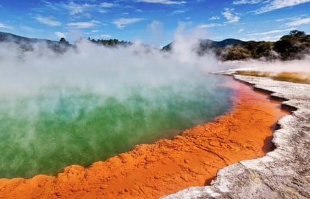 One-Way Tour from Auckland to Rotorua with Scenic Stops