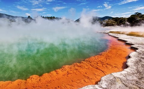 One-Way Tour from Auckland to Rotorua with Scenic Stops