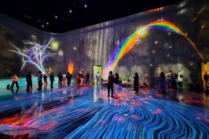 Токио: входной билет в teamLab Borderless с индивидуальным трансфером из отеля