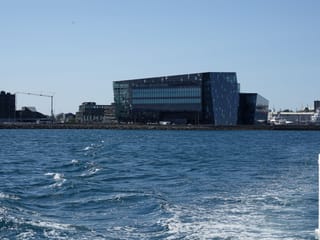 Whale Watching and Marine Life Tour in Faxafloi, photo 26