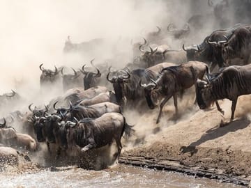 13 Days and 12 Nights Tour in Kenya and Tanzania Safari