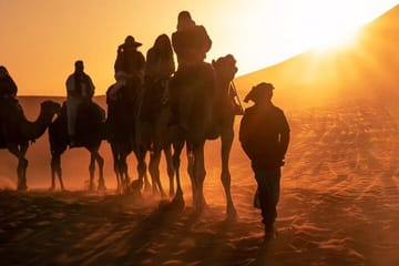 Agafay Desert Camel Ride, Dinner & Fire Show from Marrakech