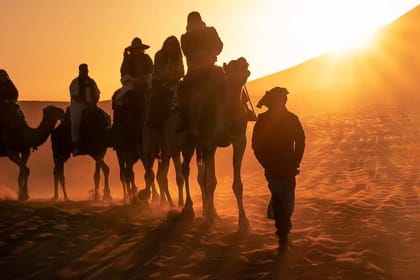 Agafay Desert Camel Ride, Dinner & Fire Show from Marrakech